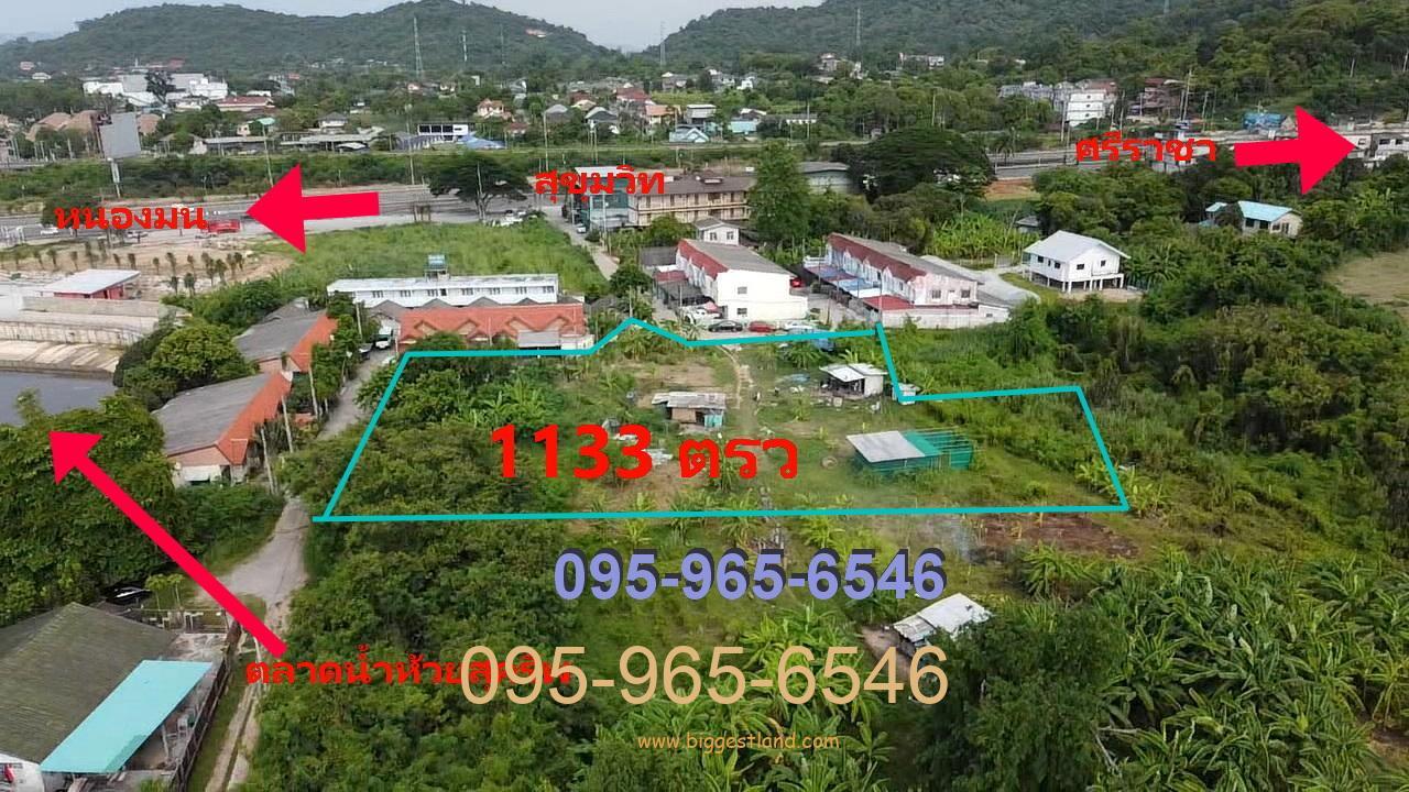 ขายที่ดินบางพระ ศรีราชา เกือบ3ไร่ ทำเลดีมาก ใกล้ทะเลและถนนสุขุมวิท ราคาดีมาก ขายที่ดินบางพระ ศรีราชา เกือบ3ไร่ ทำเลดีมาก ใกล้ทะเลและถนนสุขุมวิท ราคาดีมาก