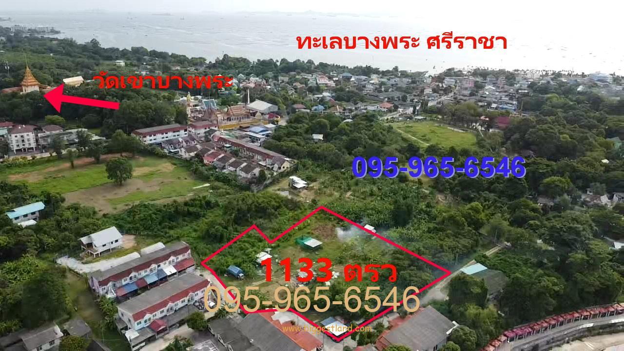 ขายที่ดินบางพระ ศรีราชา เกือบ3ไร่ ทำเลดีมาก ใกล้ทะเลและถนนสุขุมวิท ราคาดีมาก ขายที่ดินบางพระ ศรีราชา เกือบ3ไร่ ทำเลดีมาก ใกล้ทะเลและถนนสุขุมวิท ราคาดีมาก