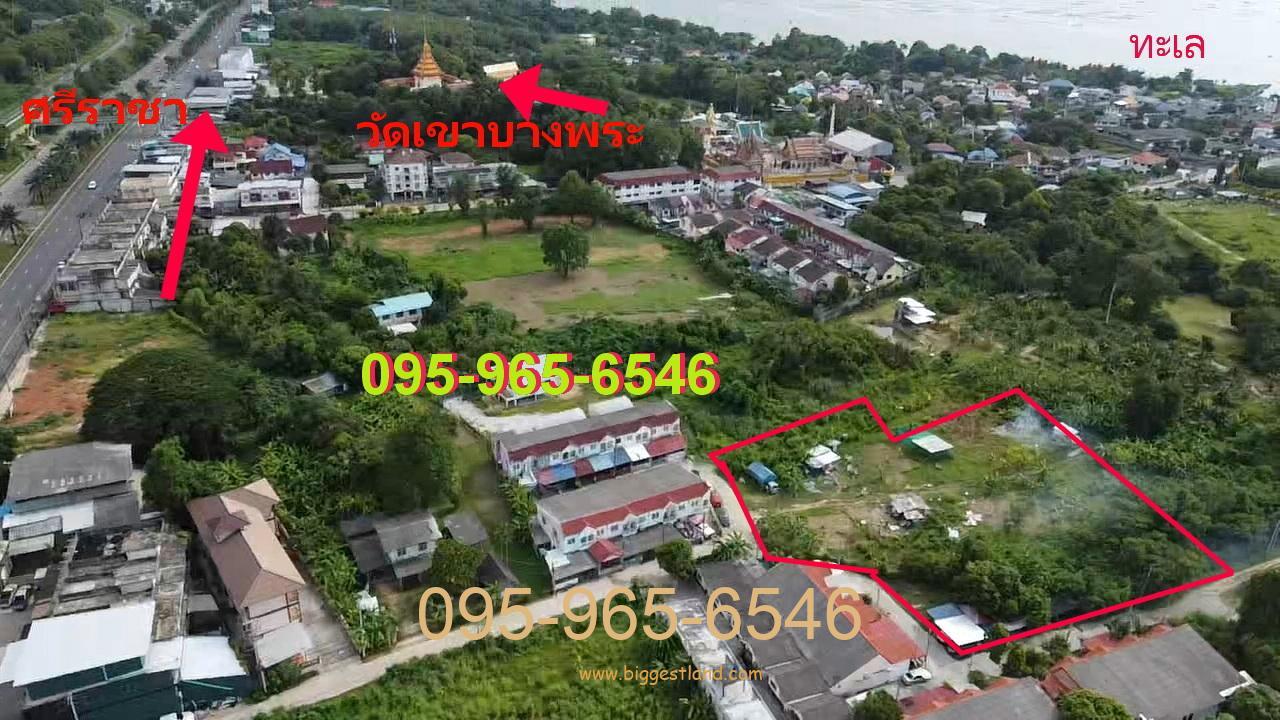 ขายที่ดินบางพระ ศรีราชา เกือบ3ไร่ ทำเลดีมาก ใกล้ทะเลและถนนสุขุมวิท ราคาดีมาก ขายที่ดินบางพระ ศรีราชา เกือบ3ไร่ ทำเลดีมาก ใกล้ทะเลและถนนสุขุมวิท ราคาดีมาก