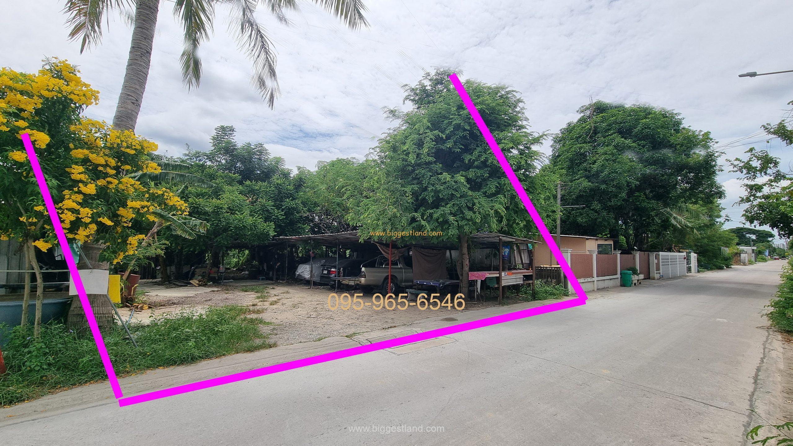 ขายที่ดิน พุทธมณฑลสาย2 ซอยวัดบุณยฯ 96 ตรว ที่แปลงสวย ถมแล้ว ขายถูก ขายที่ดิน พุทธมณฑลสาย2 ซอยวัดบุณยฯ 96 ตรว ที่แปลงสวย ถมแล้ว ขายถูก